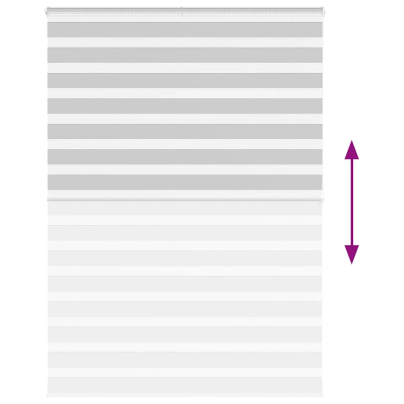 vidaXL žalūzijas zebra 165x200 cm auduma platums 160,9 cm poliesters