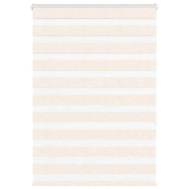 vidaXL žalūzijas zebra 100x150 cm auduma platums 95,9 cm poliesters