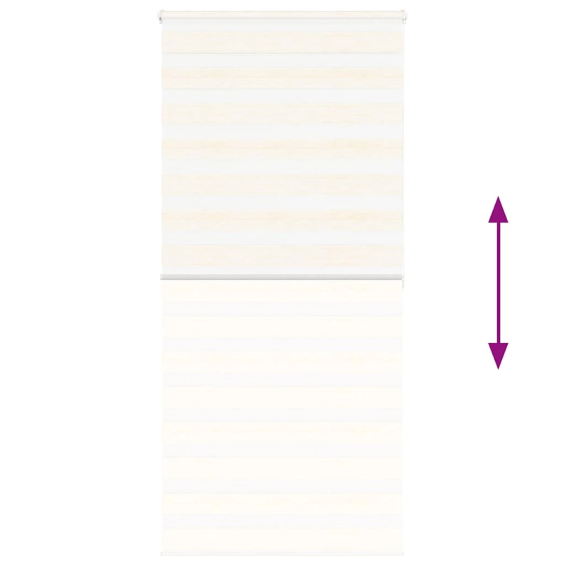 vidaXL žalūzijas zebra 105x200 cm auduma platums 100,9 cm poliesters