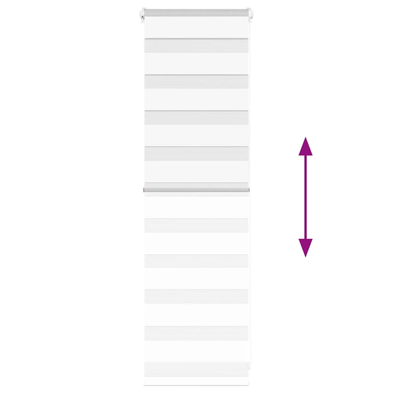 vidaXL žalūzijas zebra 40x100 cm auduma platums 35,9 cm poliesters