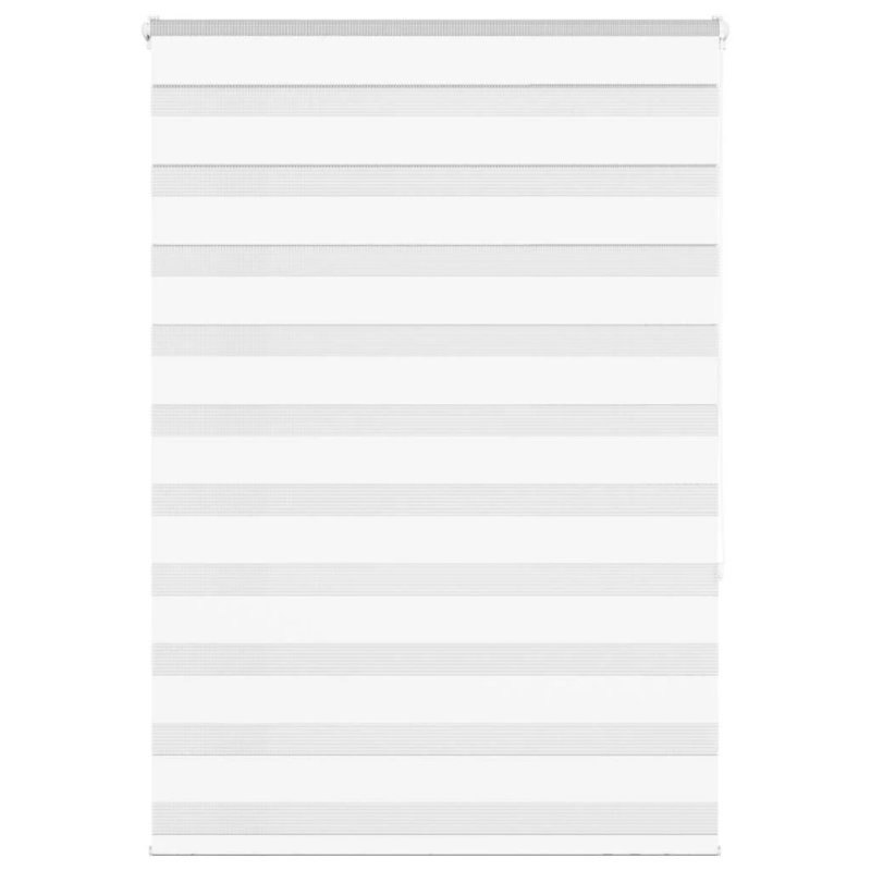 vidaXL žalūzijas zebra 100x150 cm auduma platums 95,9 cm poliesters