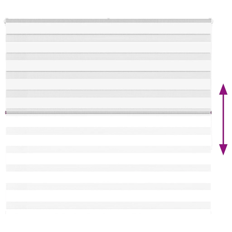 vidaXL žalūzijas zebra 160x150 cm auduma platums 155,9 cm poliesters