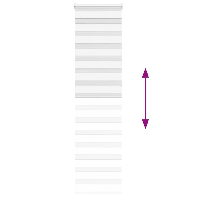 vidaXL žalūzijas zebra 60x230 cm auduma platums 55,9 cm poliesters