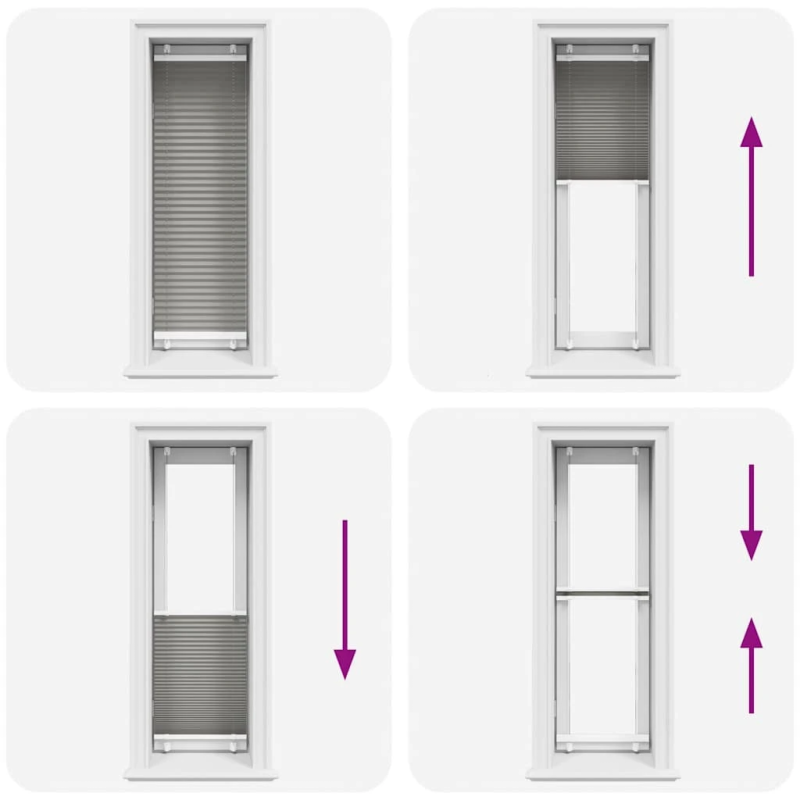 vidaXL plisētās žalūzijas antracīts 50x100 cm auduma platums 49,4 cm