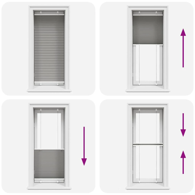 vidaXL plisētās žalūzijas antracīts 60x150 cm auduma platums 59,4 cm