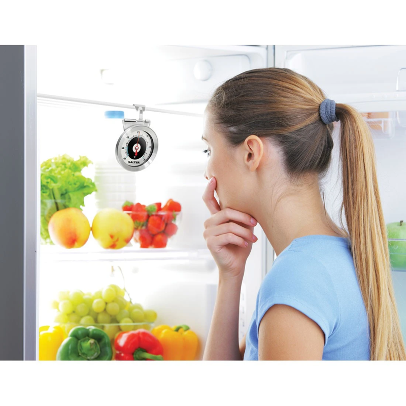 Salter 517 SSCREU16 Salter Analogue Fridge-Freezer Thermometer