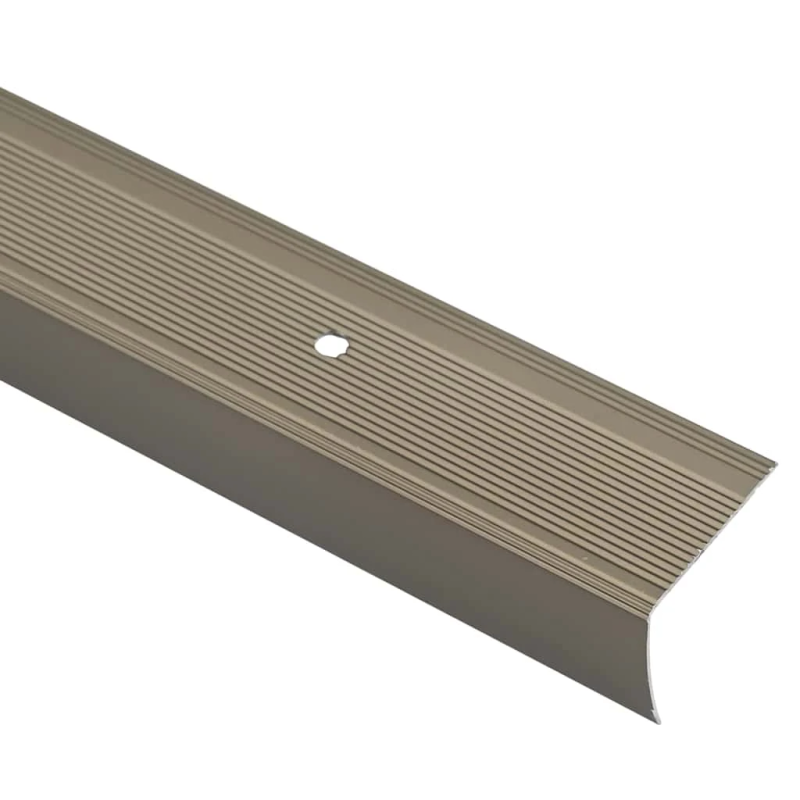 vidaXL Pakāpienu malu profili 10 pcs šampanieša 67 x 3.5 x 3 cm