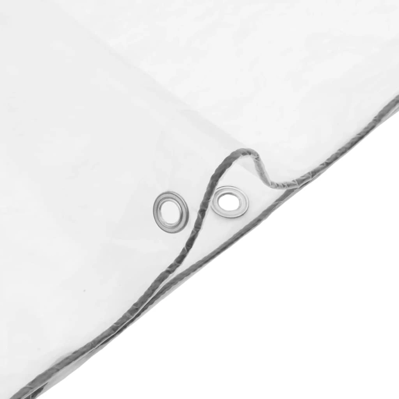 vidaXL Caurspīdīgs Brezents ar cilpām 2x5 m Polietilēns