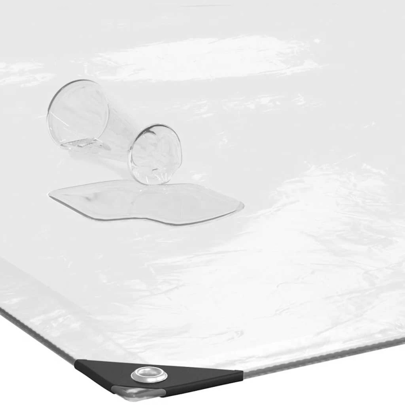 vidaXL Caurspīdīgs Brezents ar cilpām 2x8 m Polietilēns