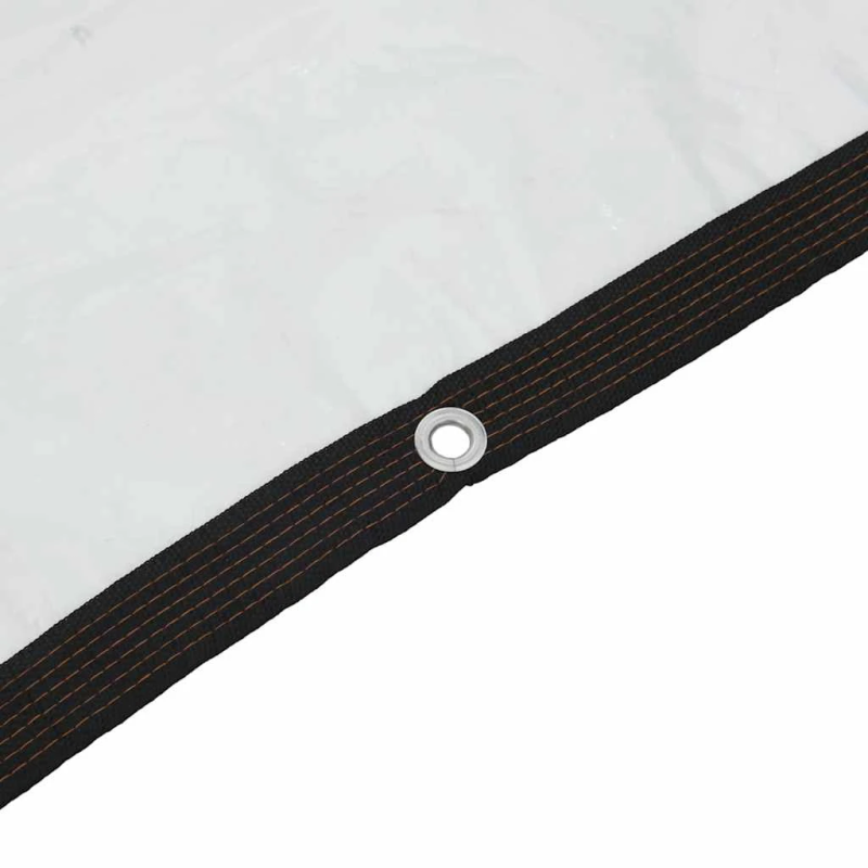 vidaXL Caurspīdīgs Brezents ar cilpām 2x5 m Polietilēns