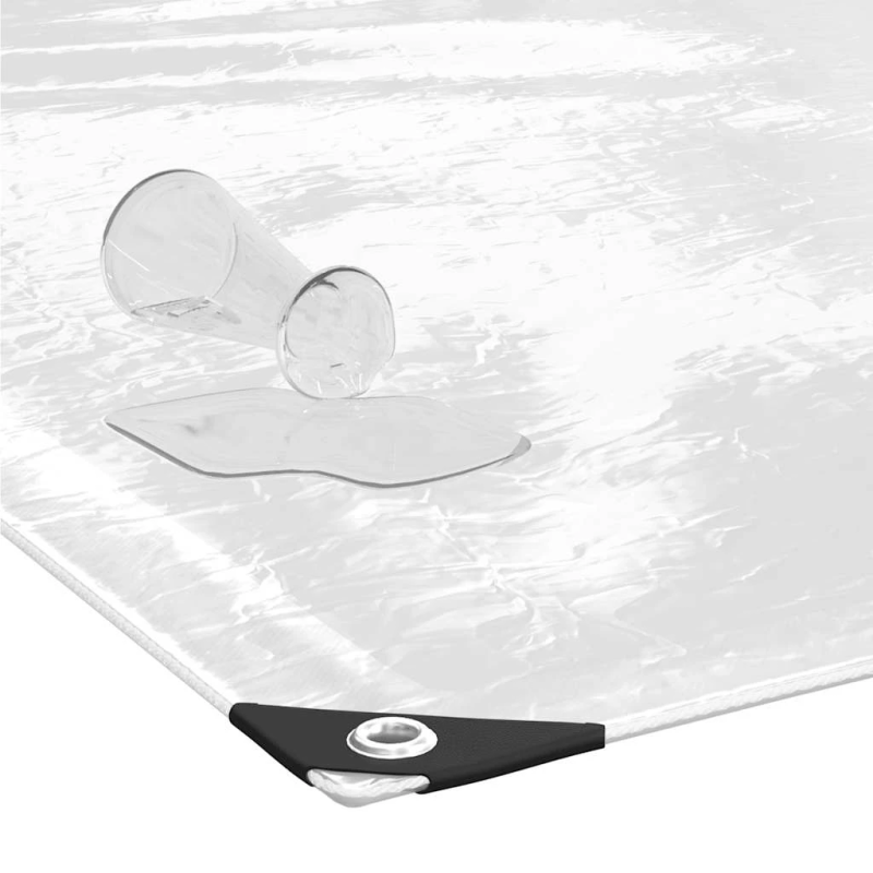 vidaXL Augu vāks ar cilpām 3x6 m PVC