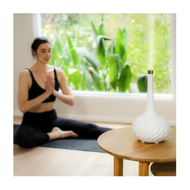 Aromāta difuzors Homedics ARM-508WT, 0.13 l