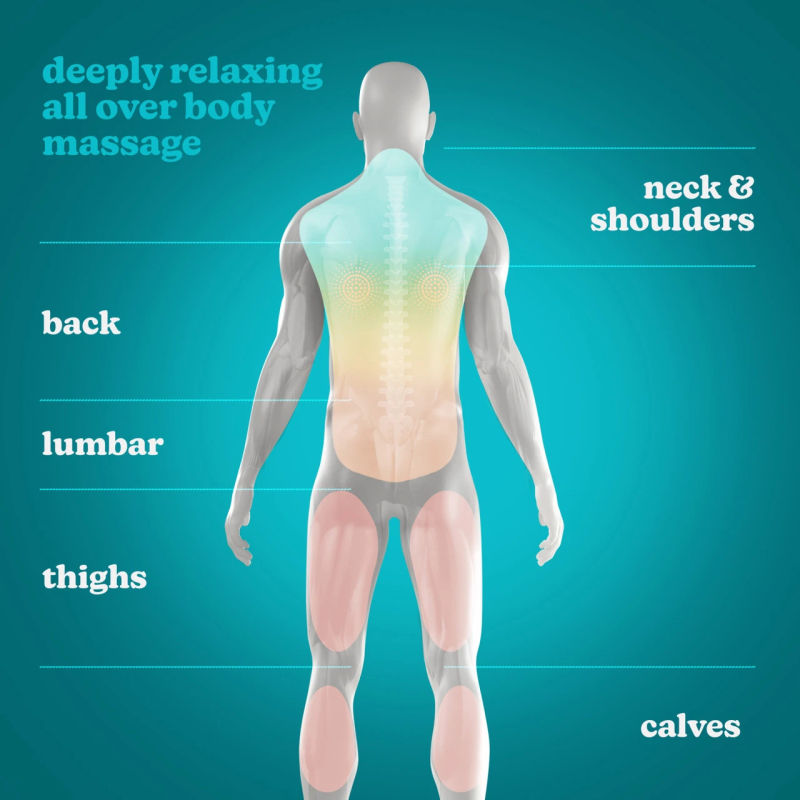 Homedics SP-50H Shiatsu Pillow Massager With Heat