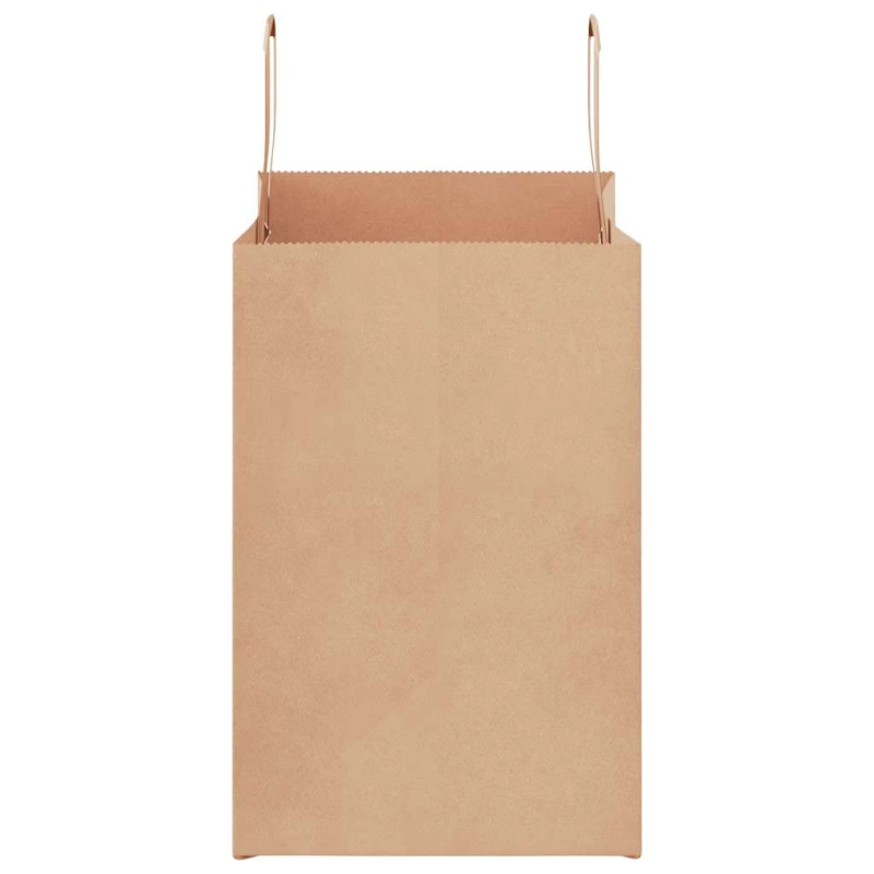 vidaXL papīra maisiņi 250 gab. ar rokturiem, brūni, 26x17x25 cm