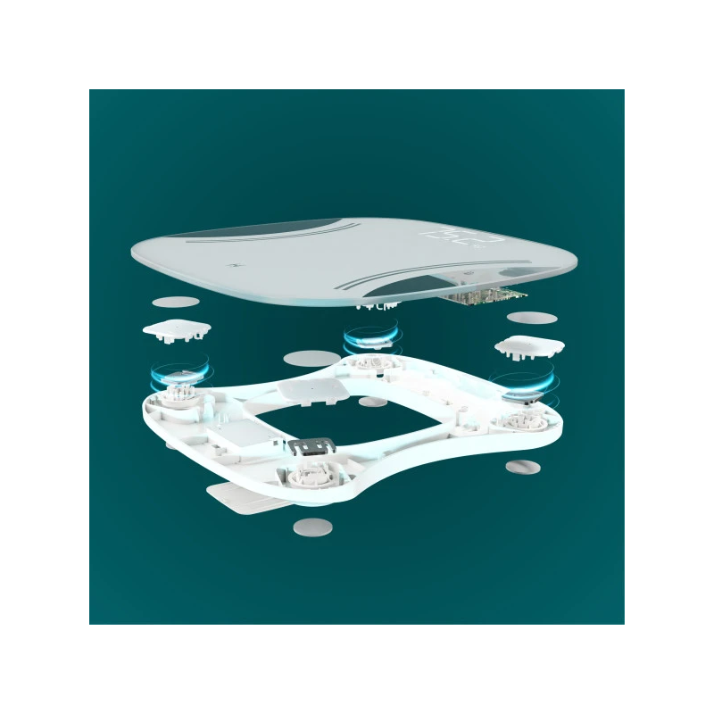 Homedics SCL-LDB135-SV3R Essential XL Display Body Weight Scale
