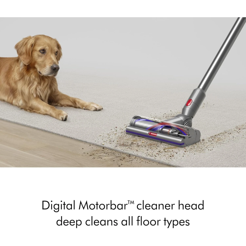 Dyson V15 Detect Absolute Yellow Nickel