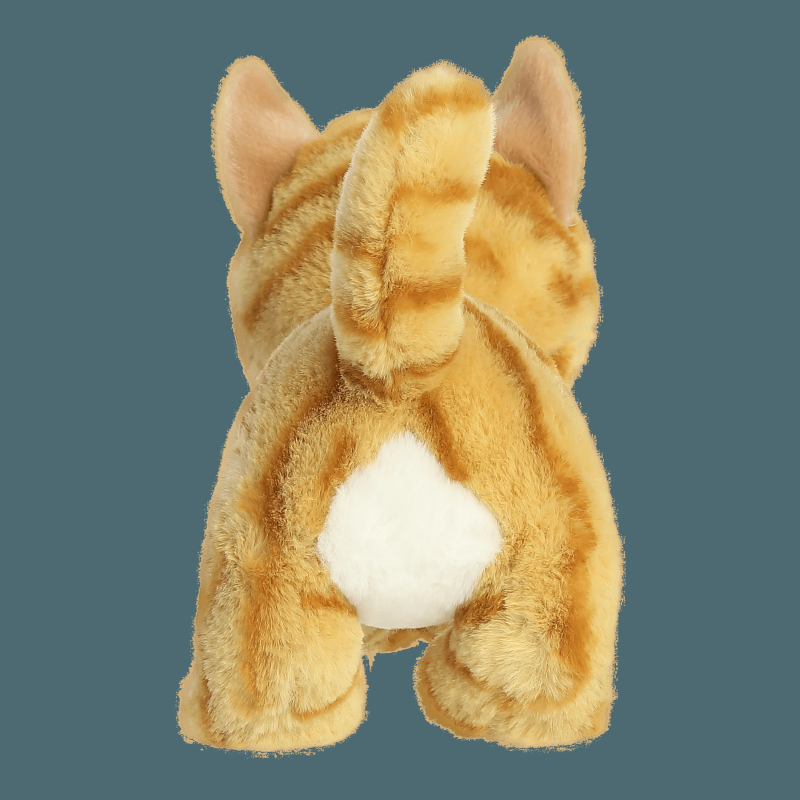 AURORA Eco Nation Plīša rotaļlieta Orandžais kaķis, 15 cm