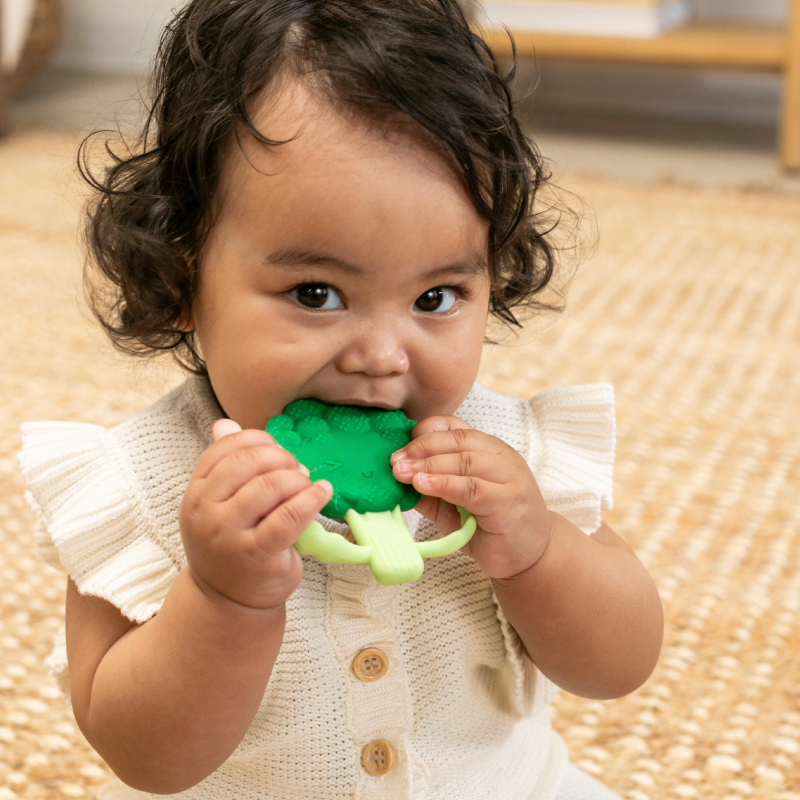 INFANTINO Košļājamā rotaļlieta Brokolis