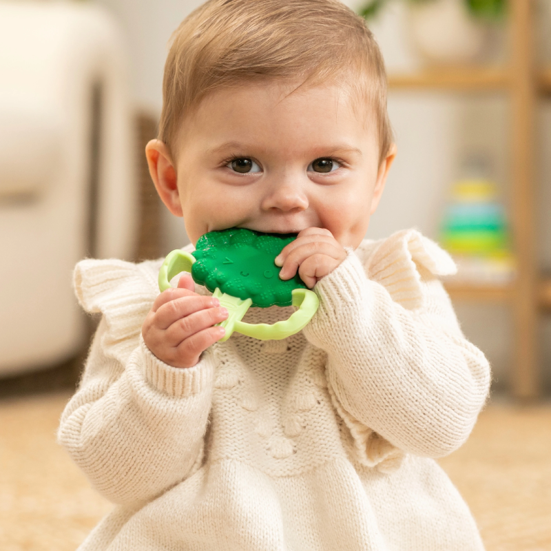 INFANTINO Košļājamā rotaļlieta Brokolis