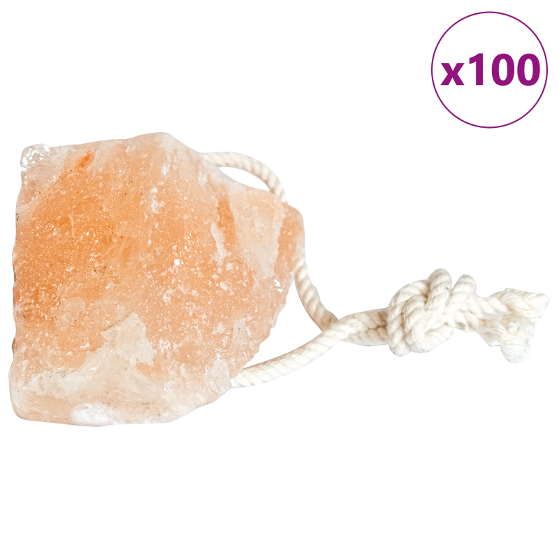 vidaXL Sāls Laizāmi Akmeņi Rozā Sāls akmens