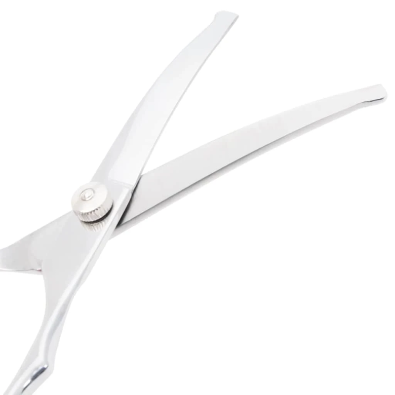 vidaXL 4 gabalu suņu kopšanas šķēru komplekts no nerūsējošā tērauda