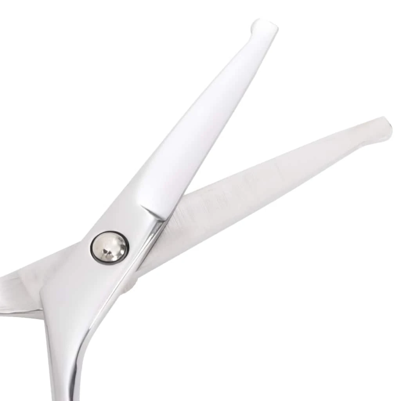 vidaXL 4 gabalu suņu kopšanas šķēru komplekts no nerūsējošā tērauda