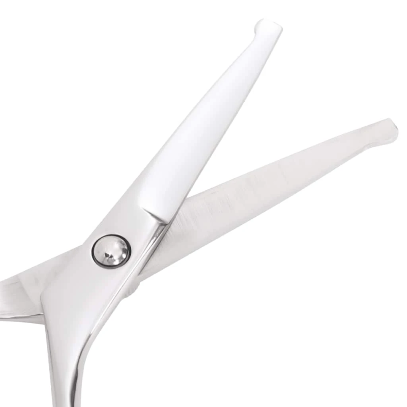 vidaXL 6 gabalu suņu kopšanas šķēru komplekts no nerūsējošā tērauda