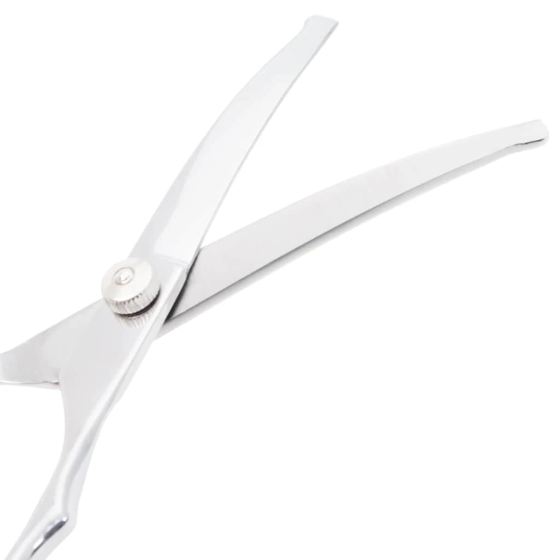 vidaXL 6 gabalu suņu kopšanas šķēru komplekts no nerūsējošā tērauda