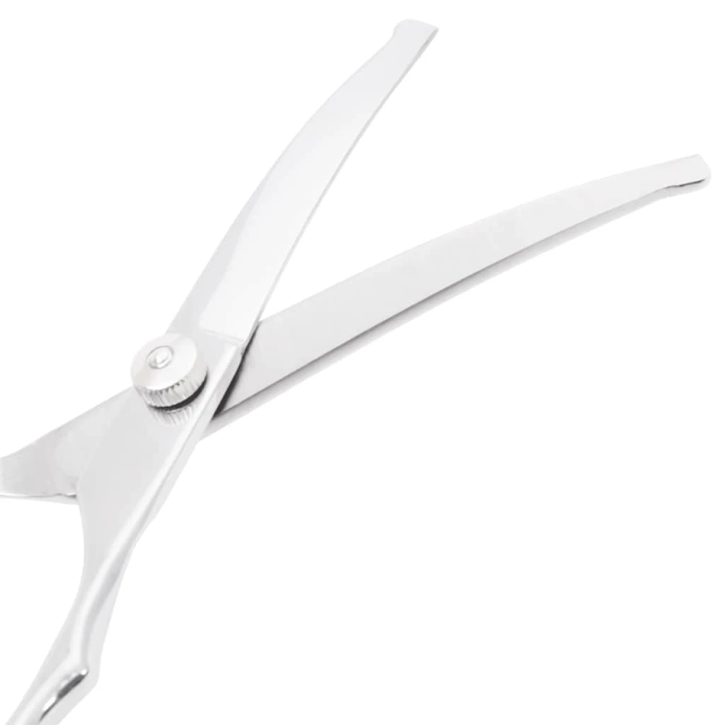 vidaXL 7 gabalu suņu kopšanas šķēru komplekts no nerūsējošā tērauda