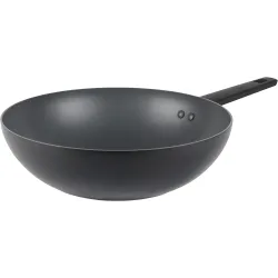 Russell Hobbs RH02842EU7 Shield 28cm Stirfry