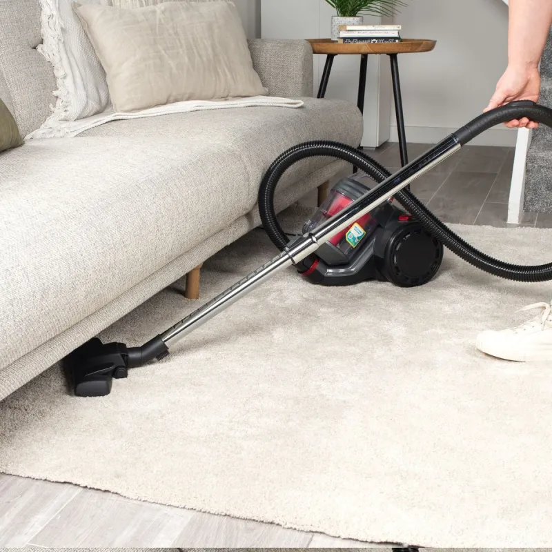 Beldray BEL0700TBVDE Compact Pet Plus