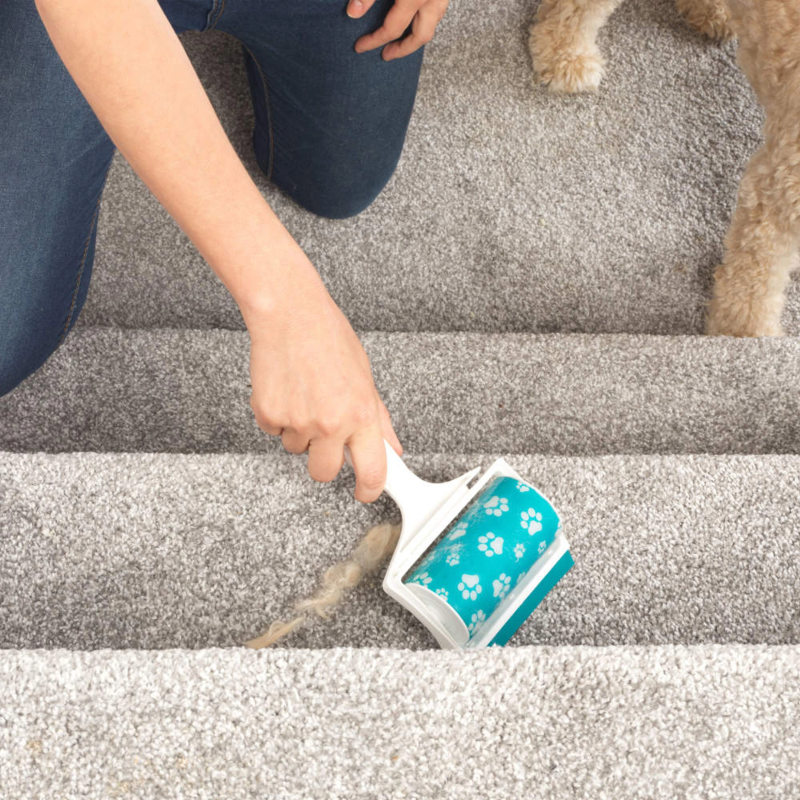 Beldray LA034221UFFEU7 Antibac Pet Plus+ Handheld Gel Lint Roller