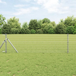 vidaXL Eiropas žogs 0,4 x 10 m PVC pārklāts dzelzs