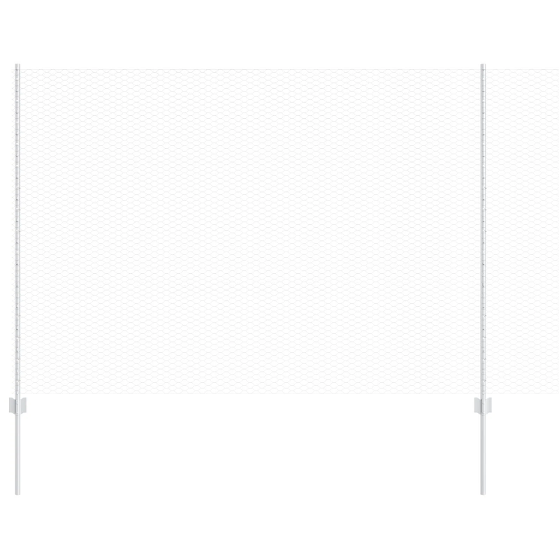 vidaXL Žogs ar stabu Sudraba 1,6 x 10 m Tērauds