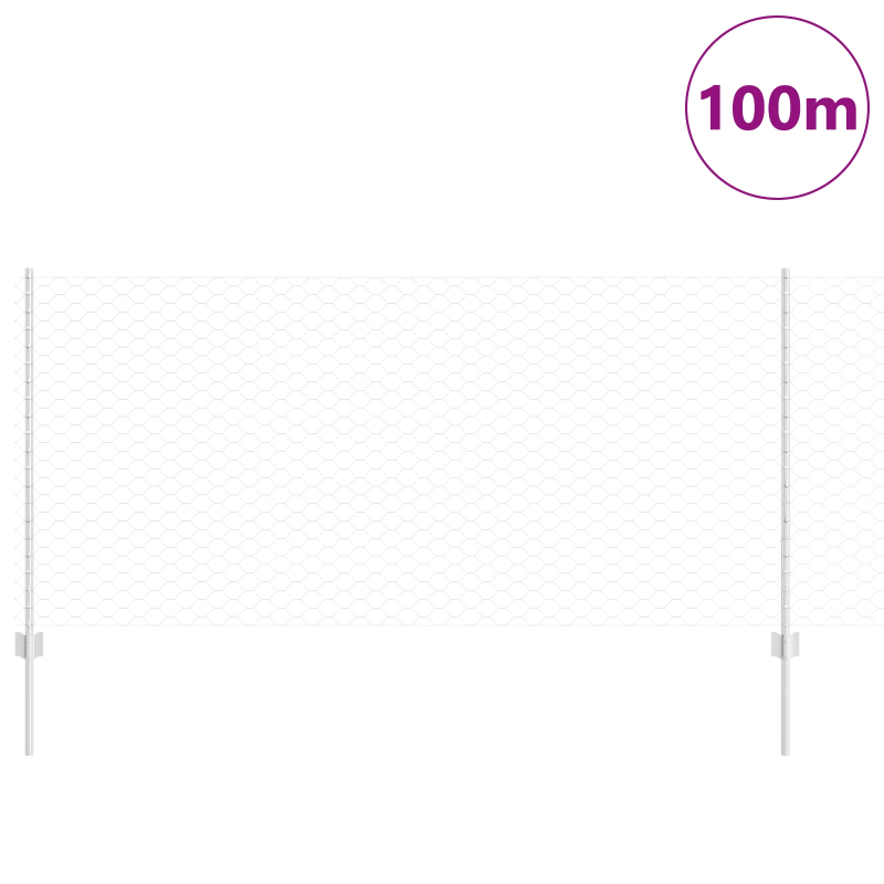vidaXL Žogs ar stabu Sudraba 1 x 100 m Tērauds