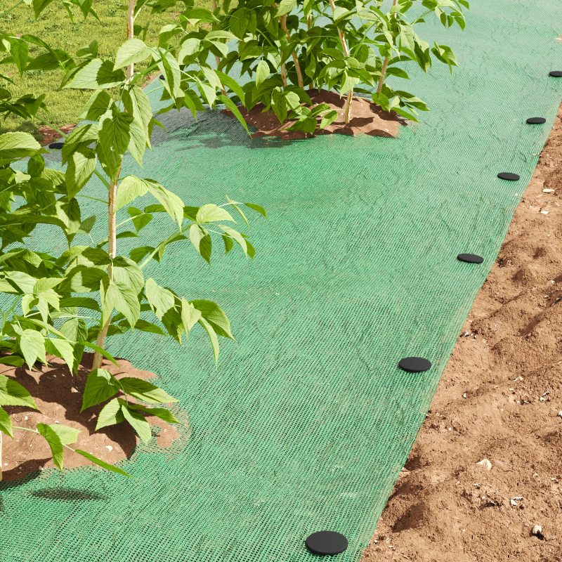 vidaXL Plastmasas tapas 100 pcs Melna DIA3 x 11 cm Plastmasa