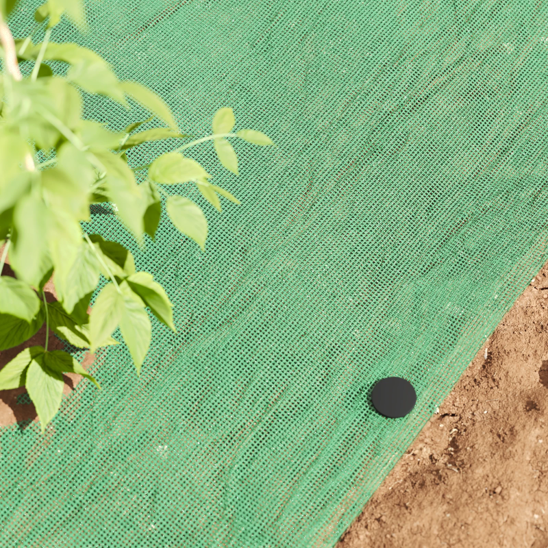 vidaXL Plastmasas tapas 100 pcs Melna DIA3 x 11 cm Plastmasa