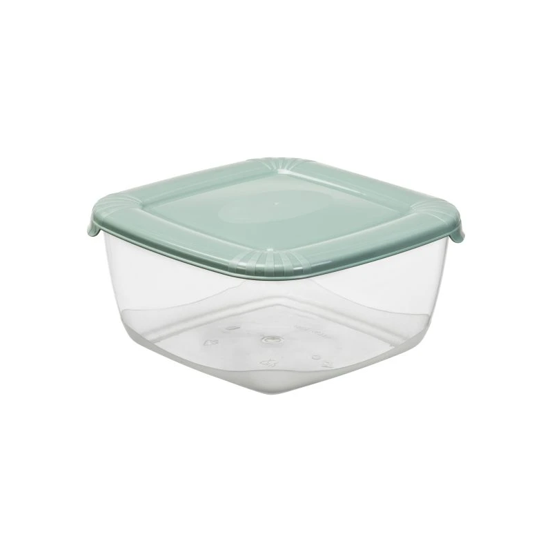 Uzglabāšanas trauciņš Polar box kvadrāta 2500ml, zaļš