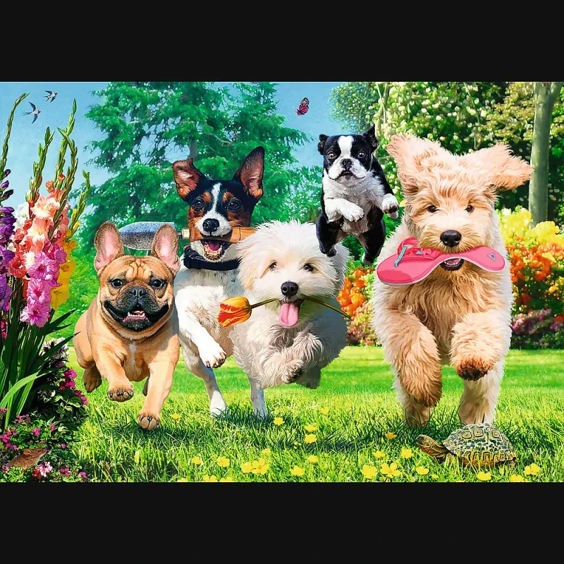 TREFL Premium Plus Dėlionė „Šunys“ 1000 det.