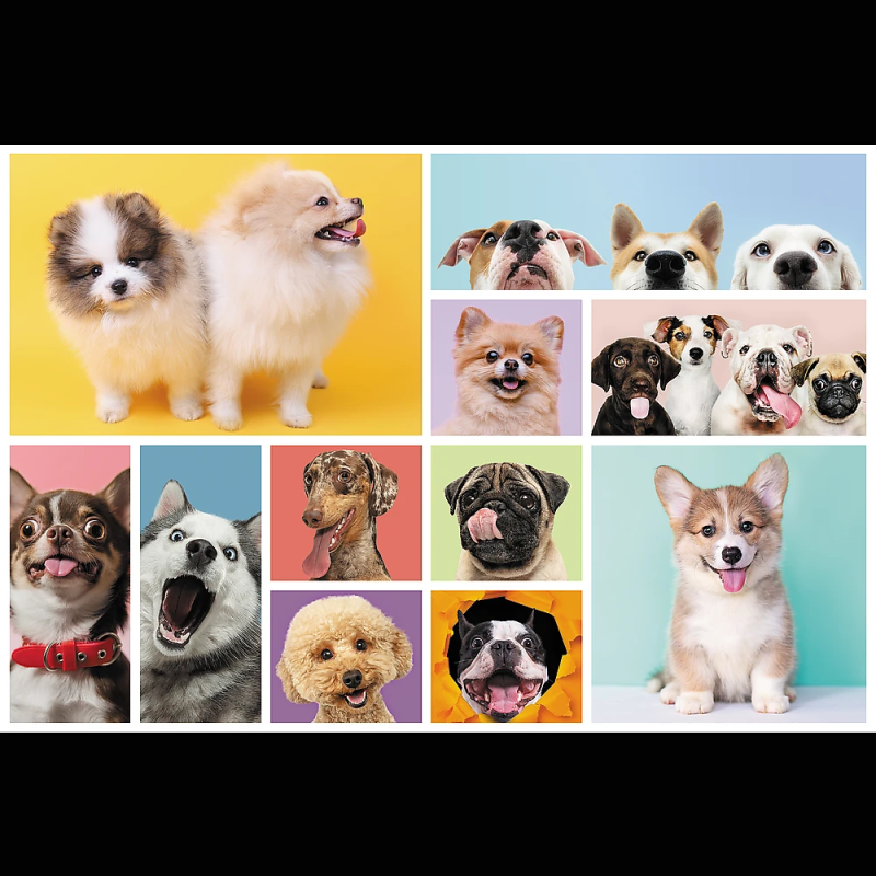 TREFL Puzle Suņi, 160 gab.