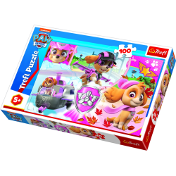 TREFL PAW PATROL Puzle Paw Patrol, 100 gab.