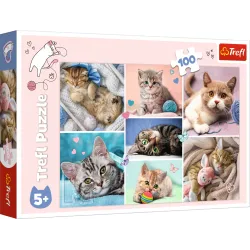 TREFL Пазл Мир кошек, 100 шт.