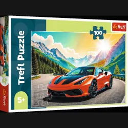 TREFL Dėlionė „Lenktynės su laiku“, 100 det.