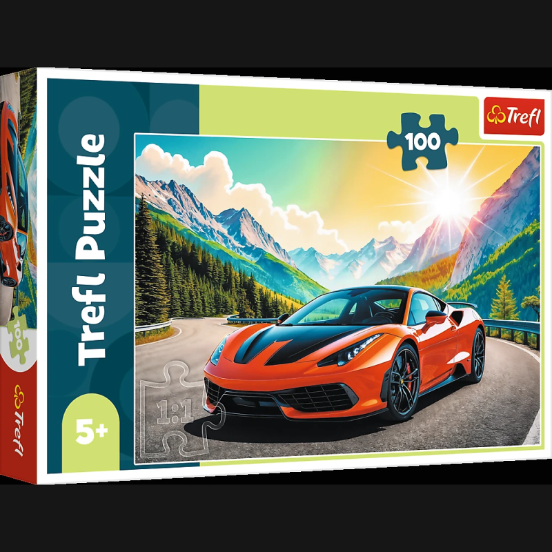 TREFL Puzle Sacīkstes, 100 gab.