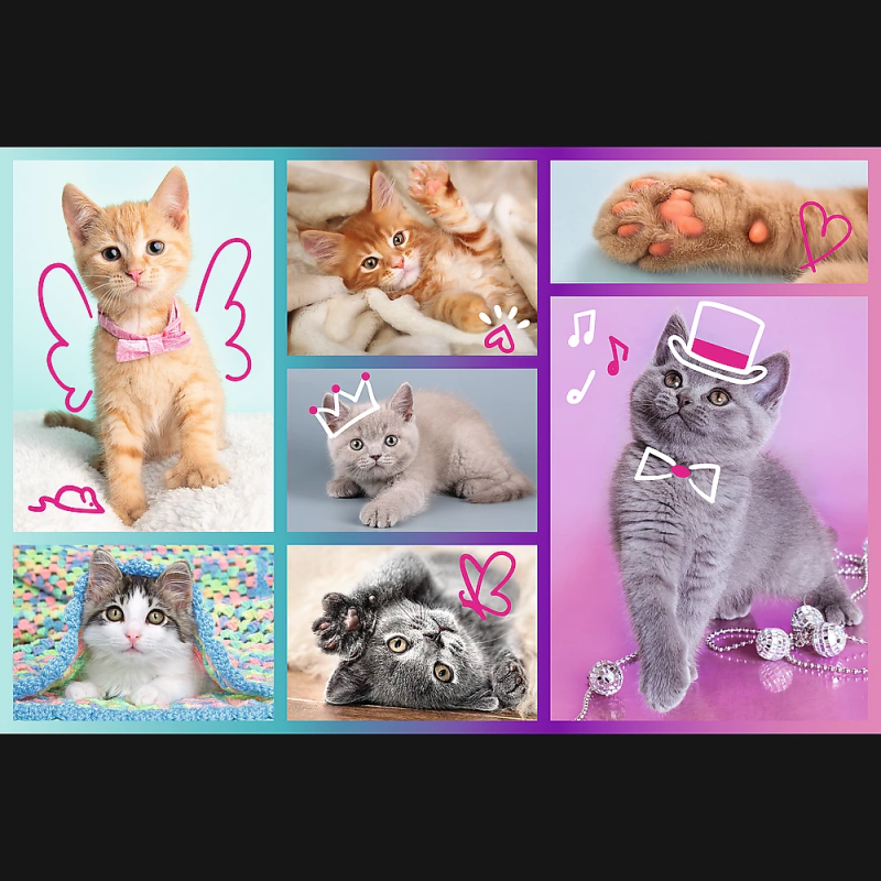 TREFL Puzle "Kaķēni", 60 gab.