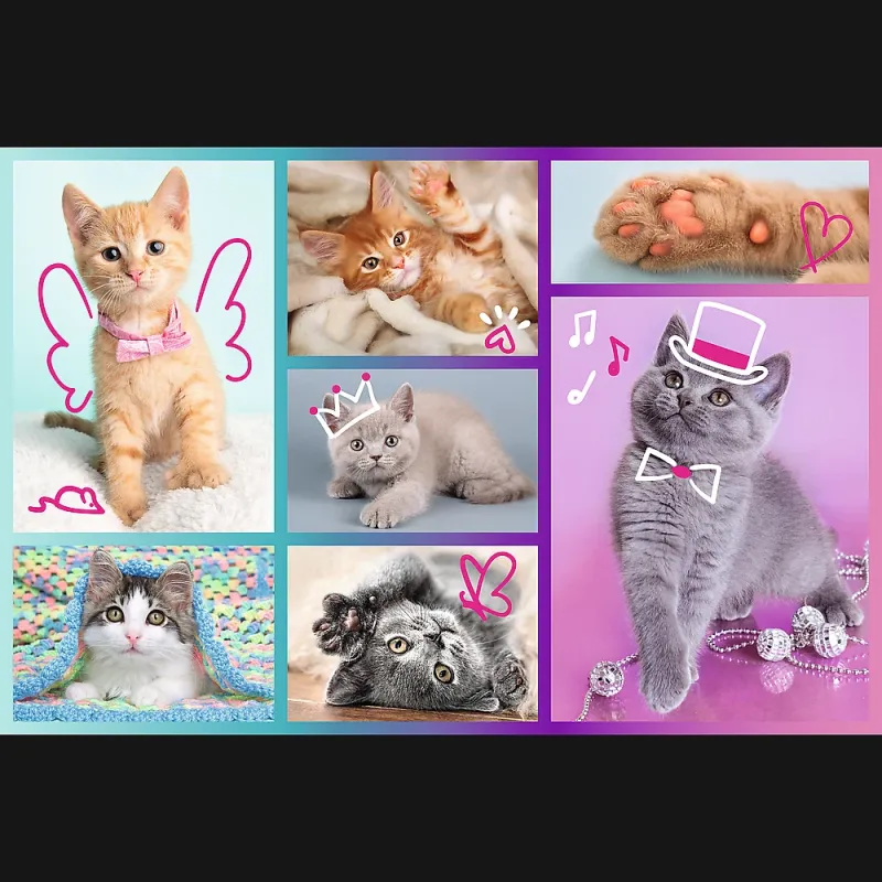 TREFL puzzle Kittens 60 pcs