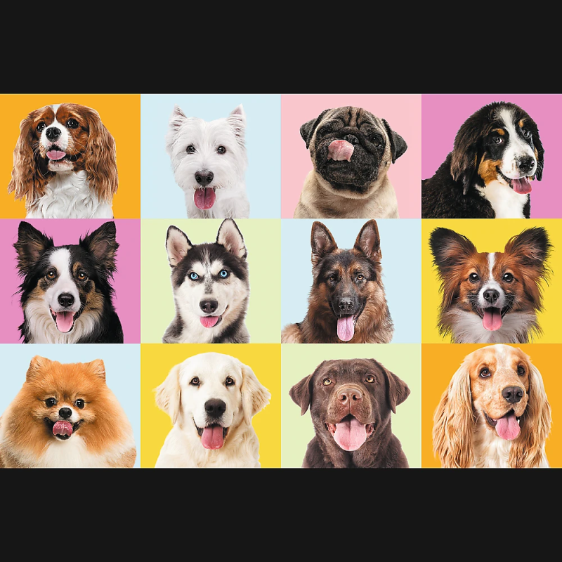 TREFL Puzle kucēni, 60 gab.