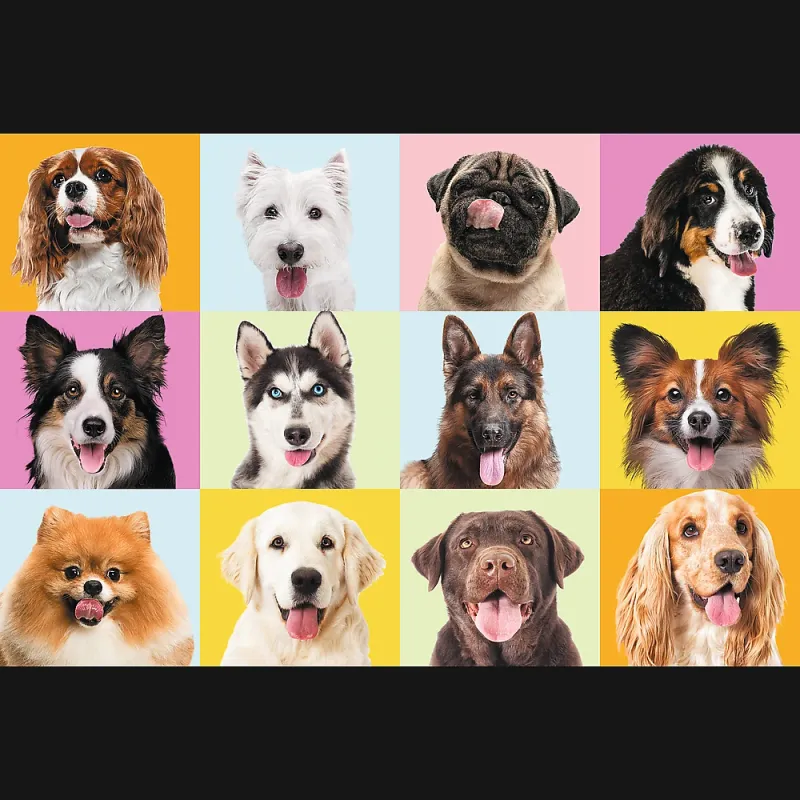 TREFL Puzle kucēni, 60 gab.