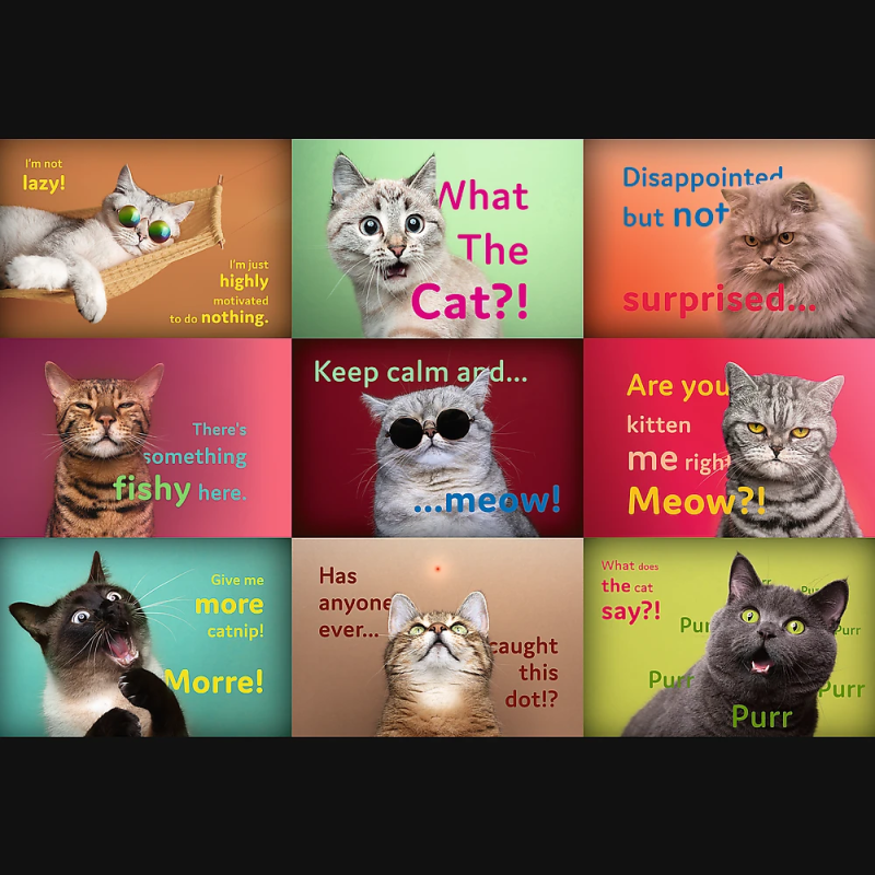 TREFL Puzle Kaķi, 1500 gab.