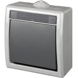 Perjungiklis Elektro-Plast Aquant1201-10,antracito-pilkos sp